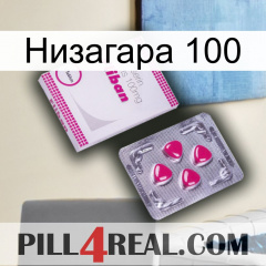 Низагара 100 32